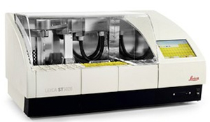 g5.jpg